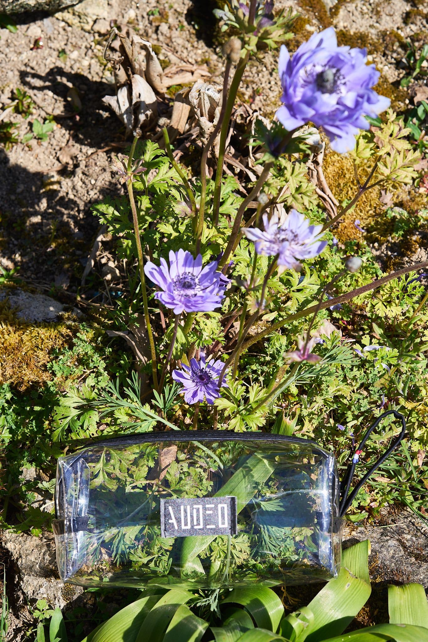 Trousse de toilette Noir