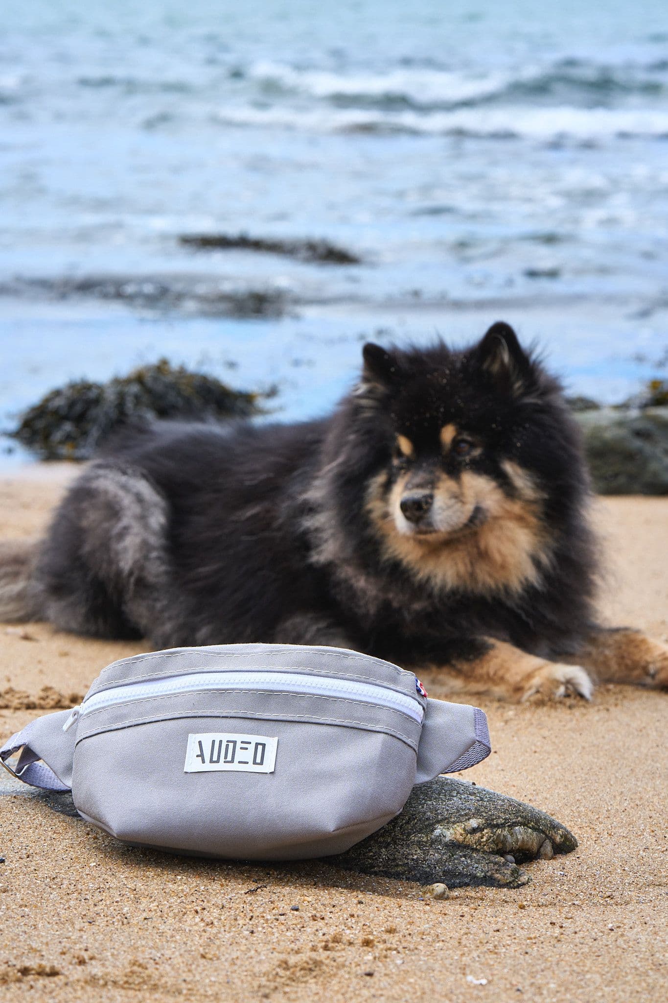 La Banane Gris – avec chien sur la plage