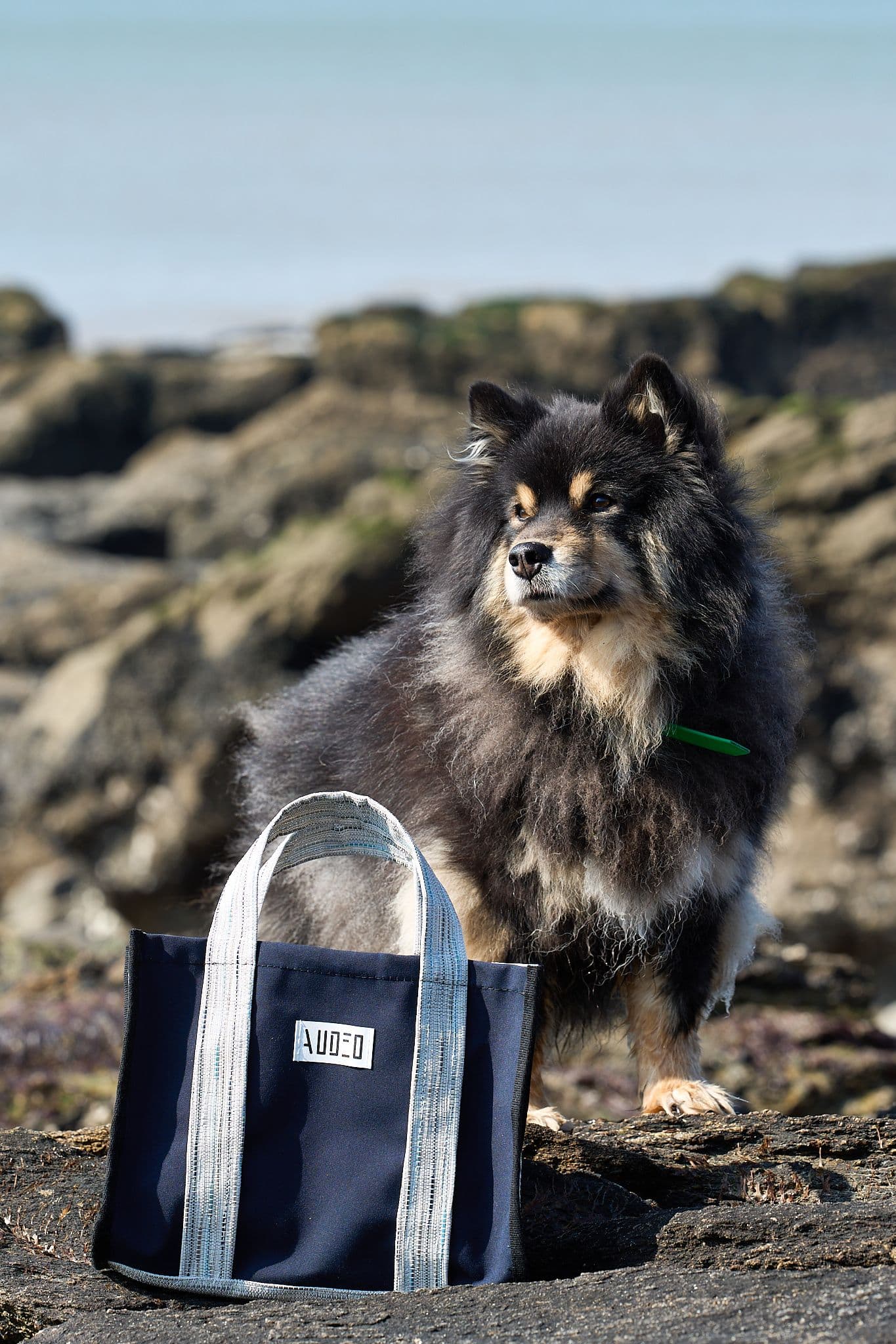 Sac Marin Bleu – vue avec chien sur rochers